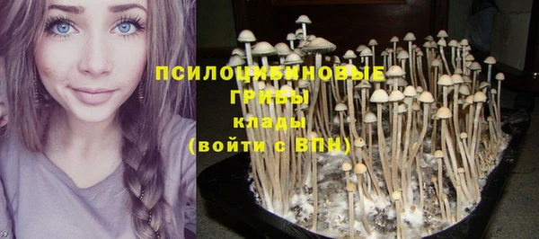 синтетический гашиш Арсеньев